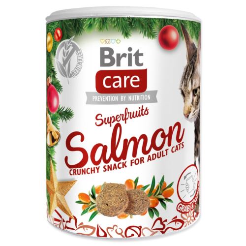 Brit Care Cat Коледни суперплодове, 100 г