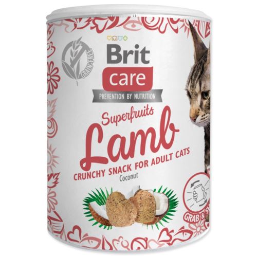 Brit Care Cat Snack Superfruits агнешко 100g